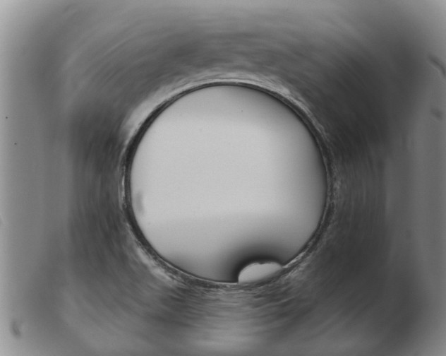 X0000103931511200809191111