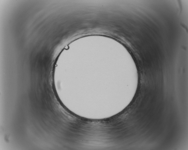 X0000103931512200809191111