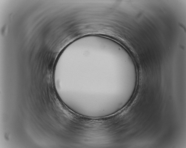 X0000103931513200809191111