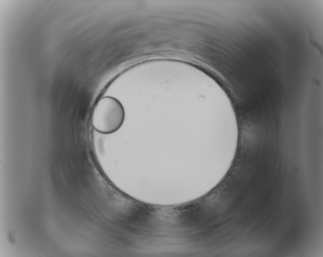 X0000103931514200809191111