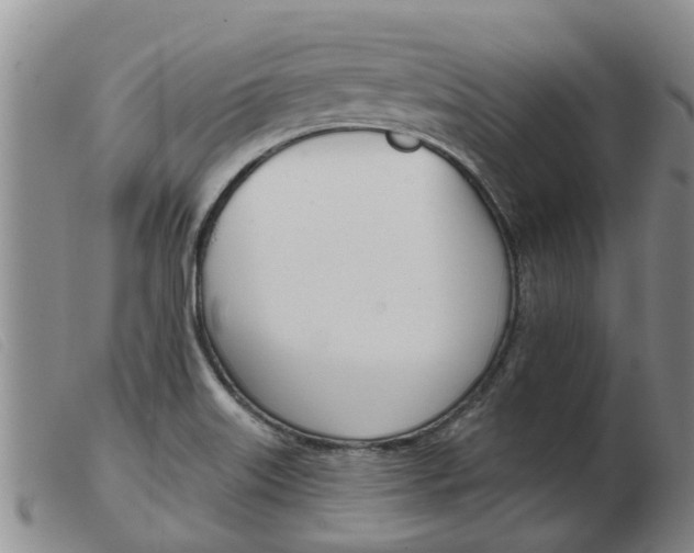 X0000103931515200809191111