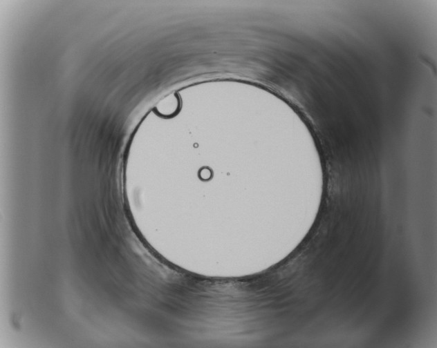 X0000103931516200809191111