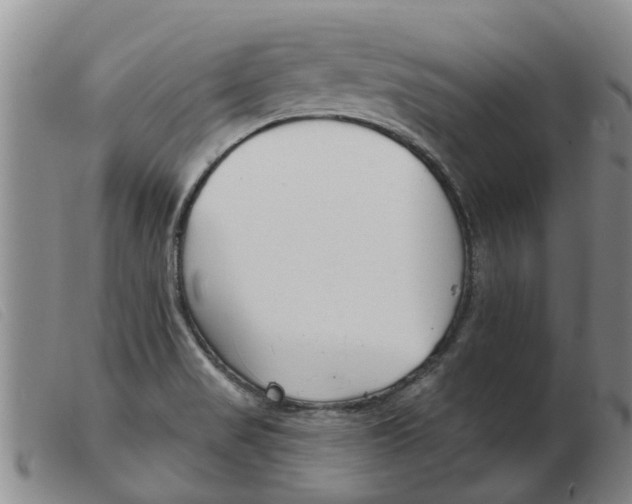 X0000103931517200809191111
