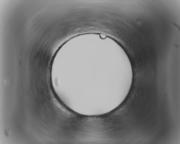 X0000103931518200809191111