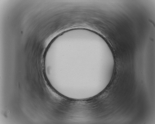 X0000103931519200809191111