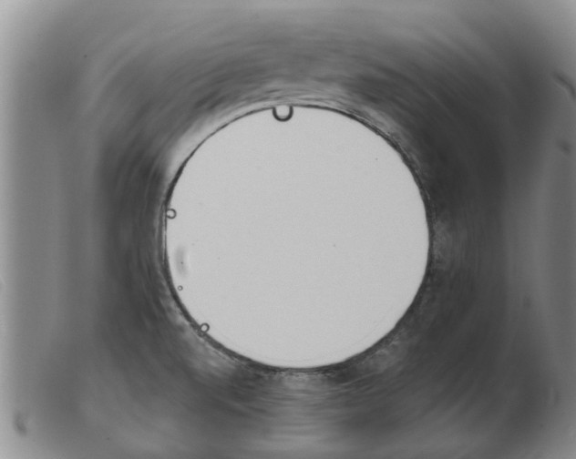X0000103931520200809191111