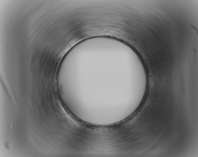 X0000103931521200809191111