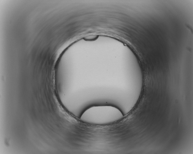 X0000103931522200809191111
