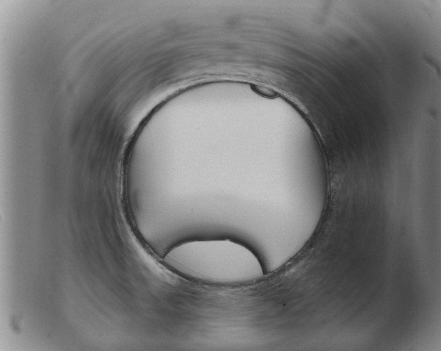 X0000103931523200809191111