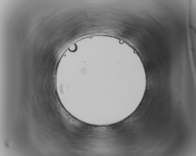 X0000103931524200809191111