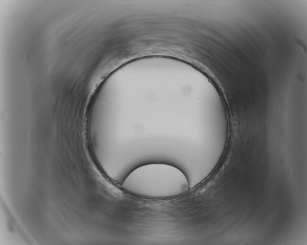 X0000103931525200809191111