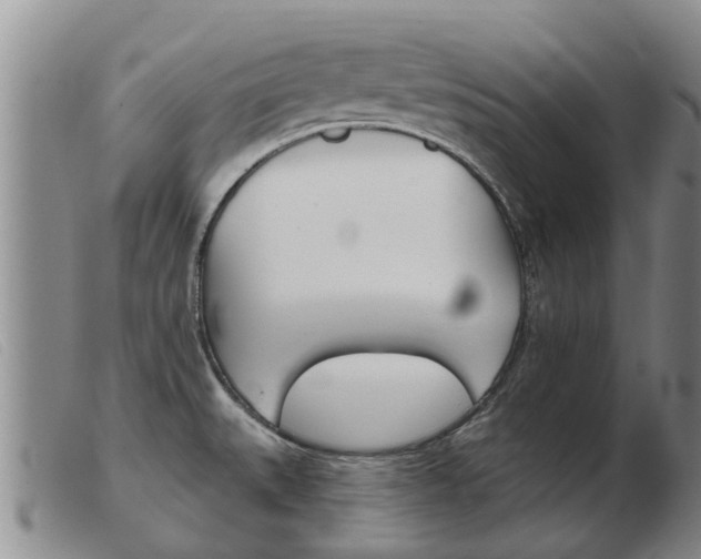 X0000103931527200809191111
