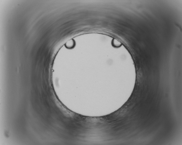 X0000103931528200809191111