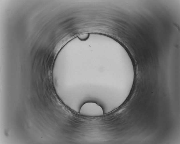 X0000103931529200809191111