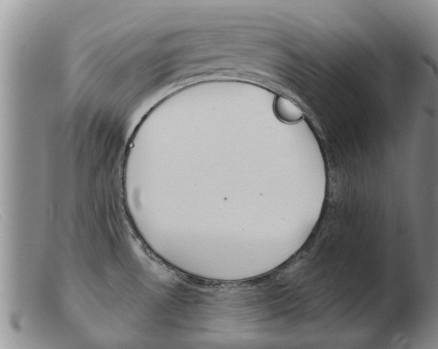 X0000103931530200809191111