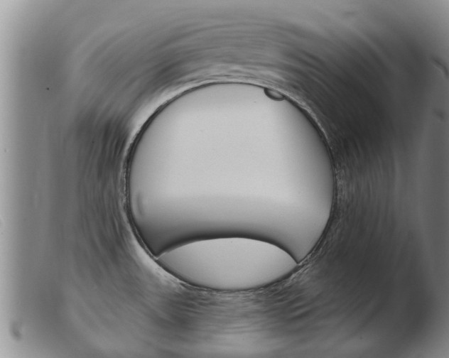 X0000103931531200809191111