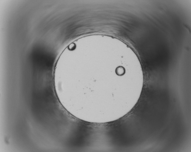 X0000103931532200809191111