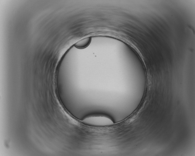X0000103931533200809191111