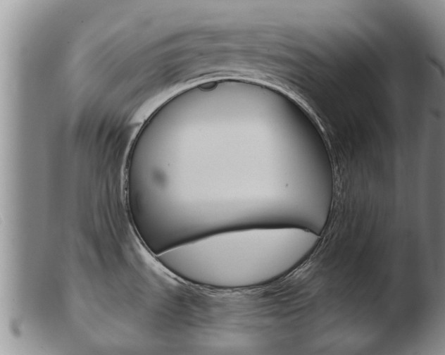 X0000103931535200809191111
