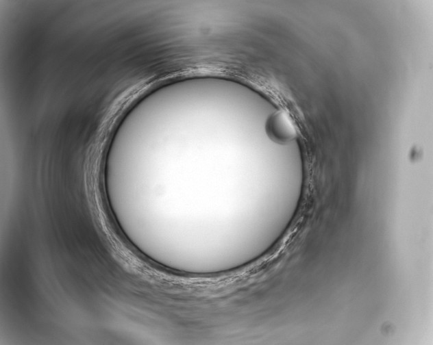 X0000103930001200809191401