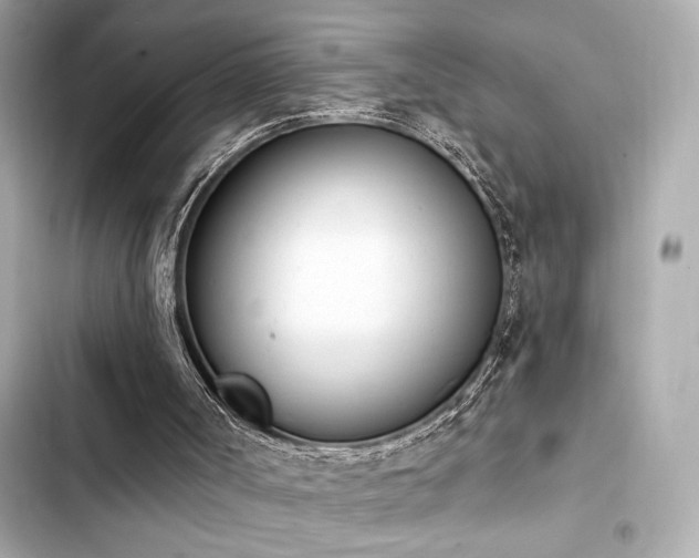 X0000103930002200809191401