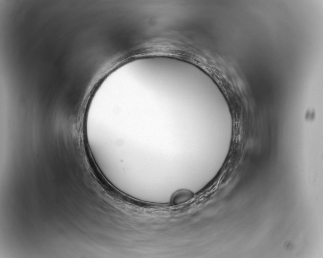 X0000103930004200809191401