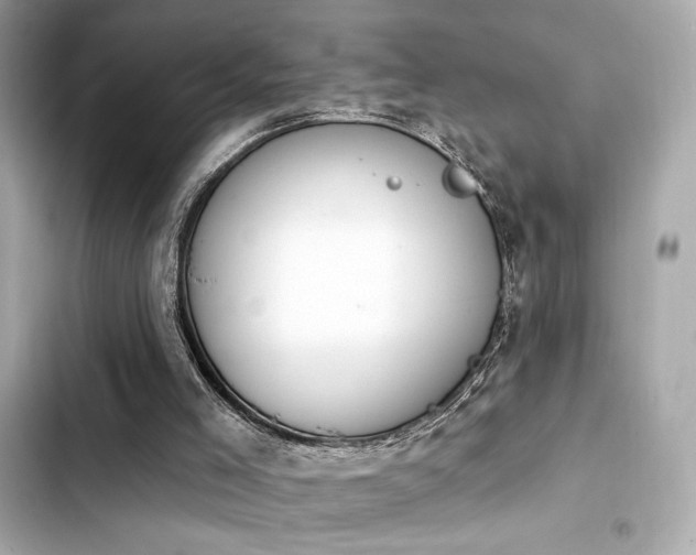 X0000103930005200809191401