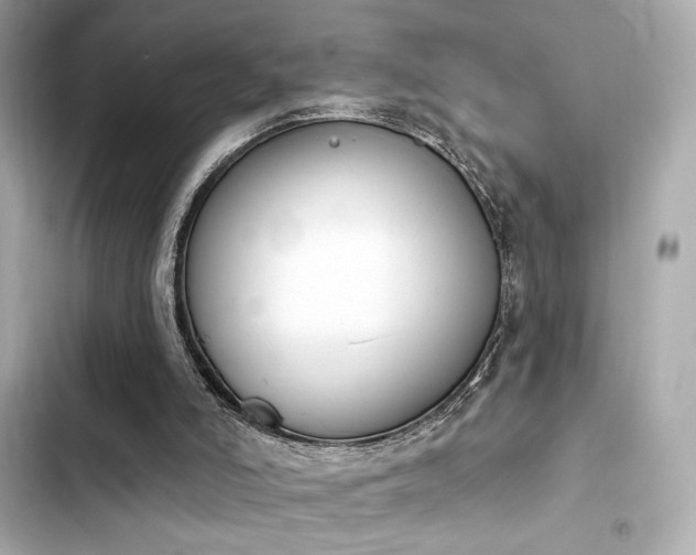 X0000103930006200809191401