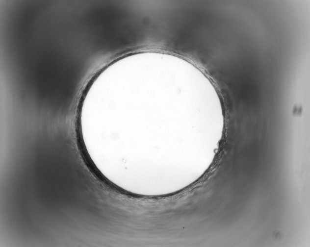 X0000103930007200809191401