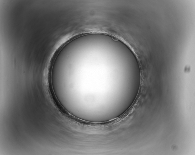 X0000103930008200809191401