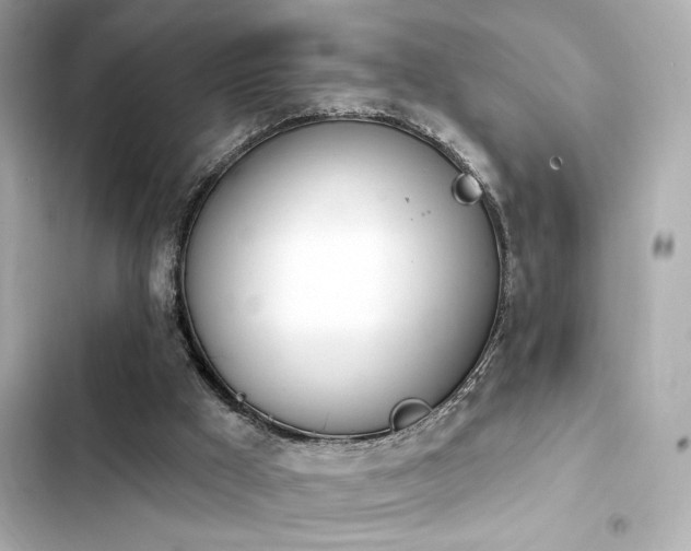X0000103930009200809191401