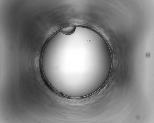 X0000103930010200809191401