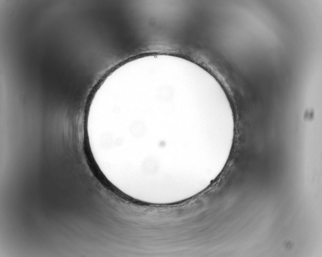 X0000103930011200809191401