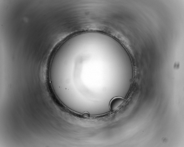 X0000103930012200809191401