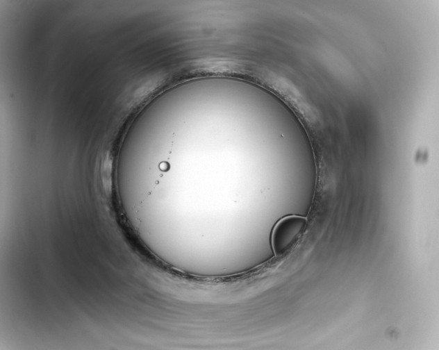 X0000103930014200809191401