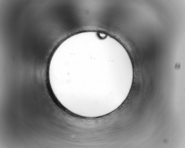 X0000103930015200809191401