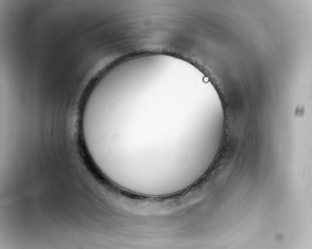 X0000103930016200809191401