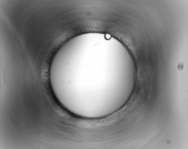 X0000103930017200809191401
