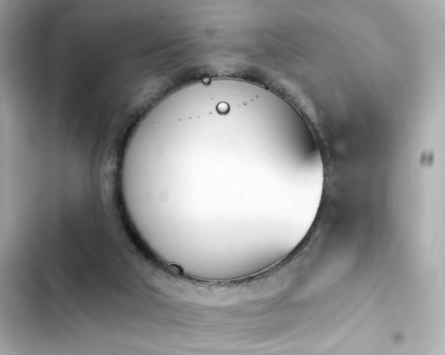 X0000103930018200809191401