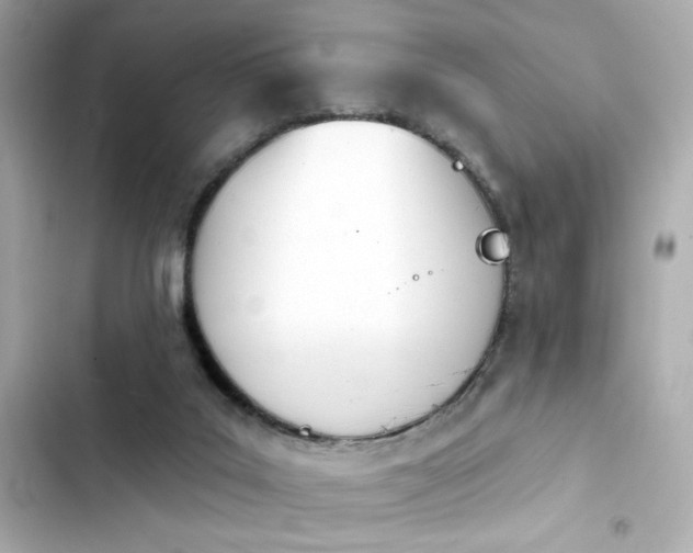 X0000103930019200809191401