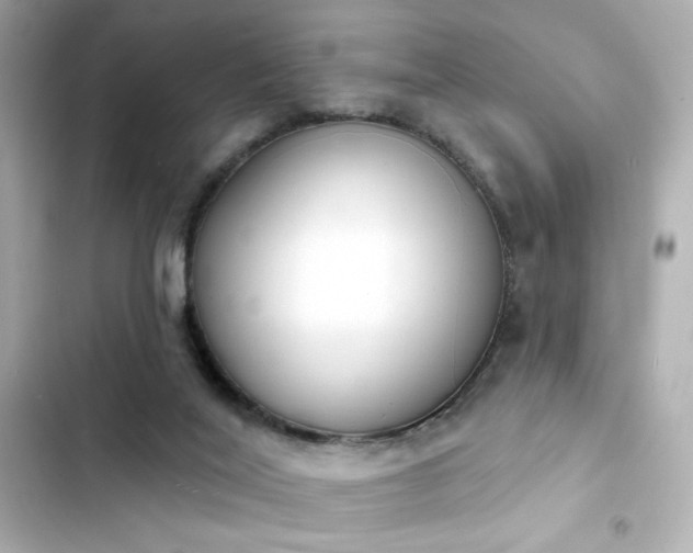 X0000103930020200809191401