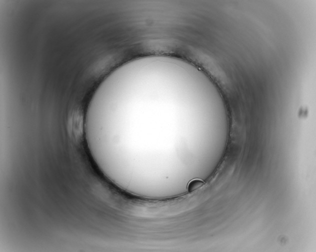 X0000103930021200809191401