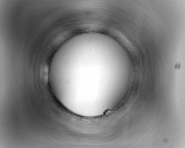 X0000103930022200809191401