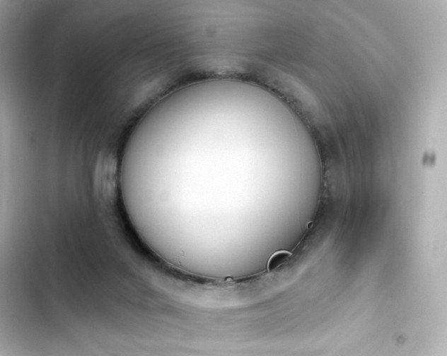 X0000103930024200809191401