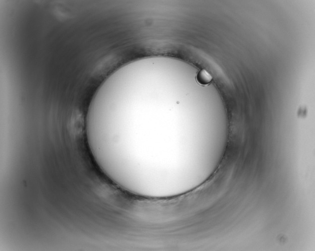 X0000103930025200809191401