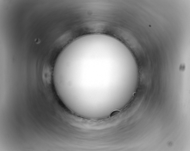 X0000103930026200809191401