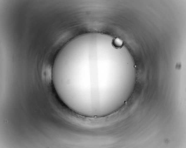 X0000103930027200809191401