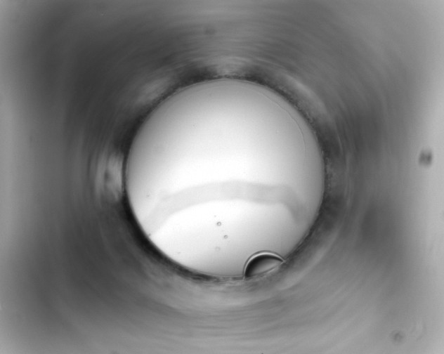 X0000103930028200809191401