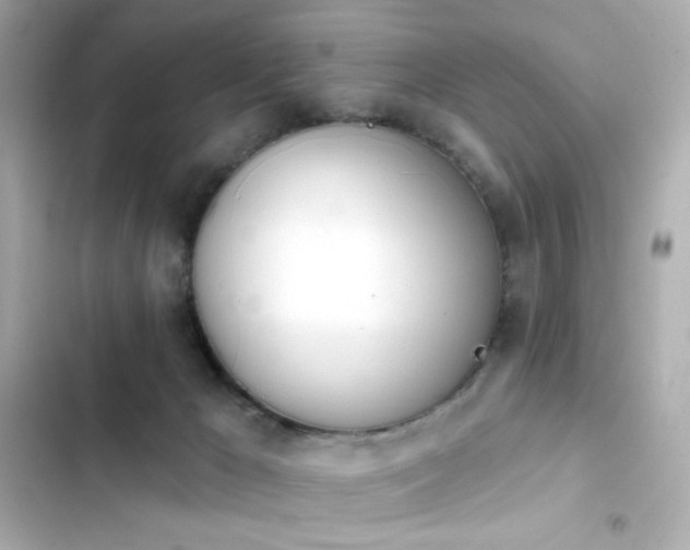 X0000103930029200809191401