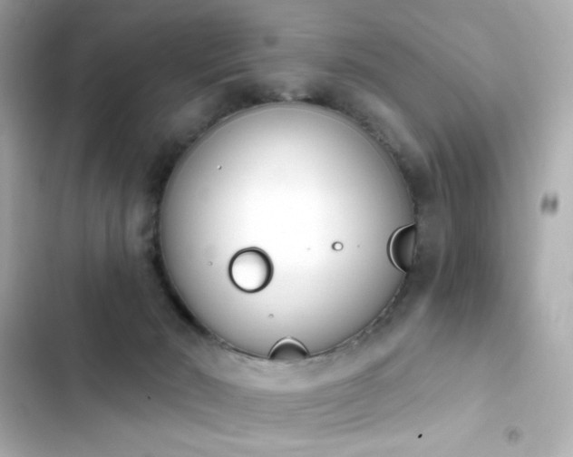 X0000103930030200809191401